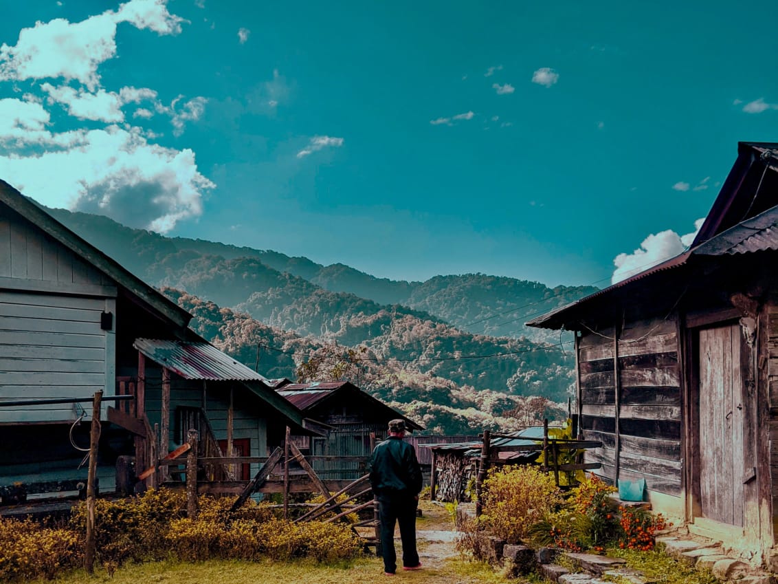 Dzukou Valley